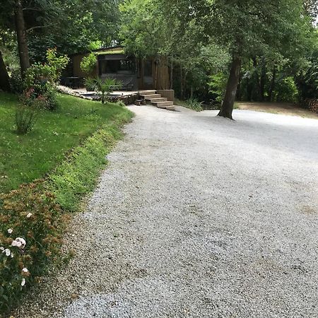 Bus Atypique Au Bord Du Canal Du Midi Et Au Coeur D'Une Foret 2 Chambres Villepinte  المظهر الخارجي الصورة