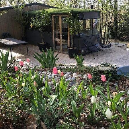 Bus Atypique Au Bord Du Canal Du Midi Et Au Coeur D'Une Foret 2 Chambres Villepinte  المظهر الخارجي الصورة