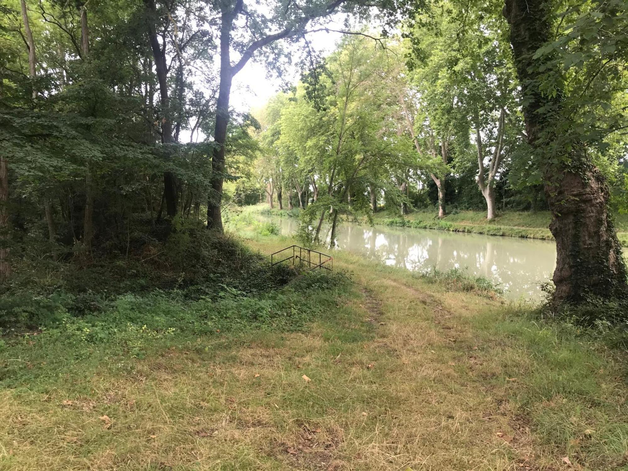 Bus Atypique Au Bord Du Canal Du Midi Et Au Coeur D'Une Foret 2 Chambres Villepinte  المظهر الخارجي الصورة