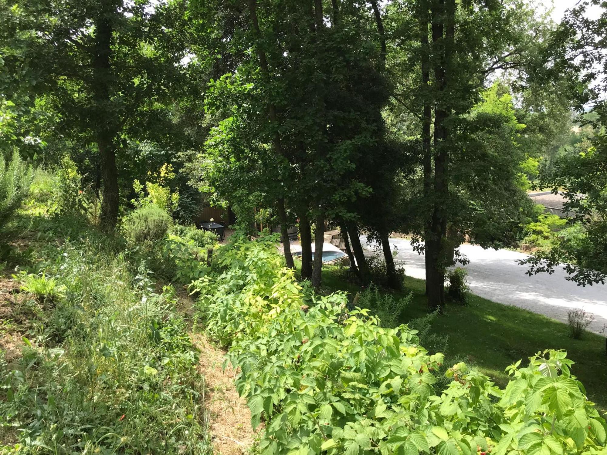 Bus Atypique Au Bord Du Canal Du Midi Et Au Coeur D'Une Foret 2 Chambres Villepinte  المظهر الخارجي الصورة