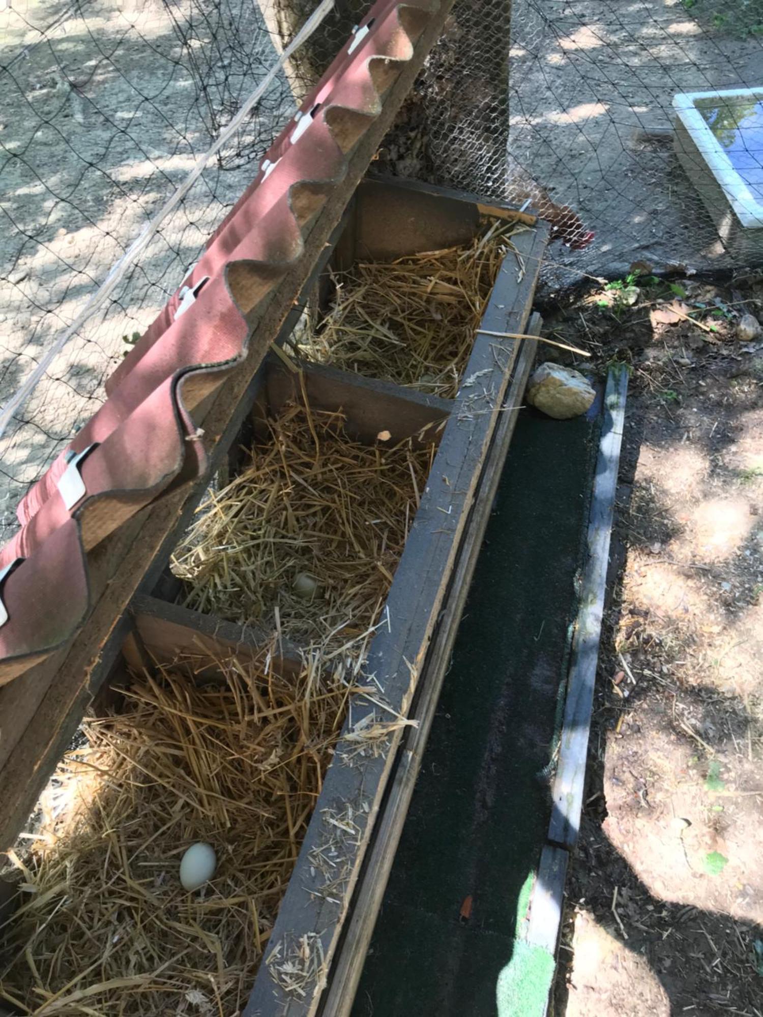 Bus Atypique Au Bord Du Canal Du Midi Et Au Coeur D'Une Foret 2 Chambres Villepinte  المظهر الخارجي الصورة