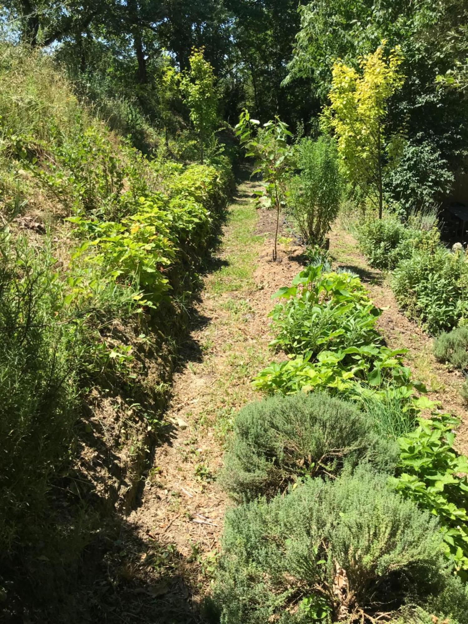 Bus Atypique Au Bord Du Canal Du Midi Et Au Coeur D'Une Foret 2 Chambres Villepinte  المظهر الخارجي الصورة