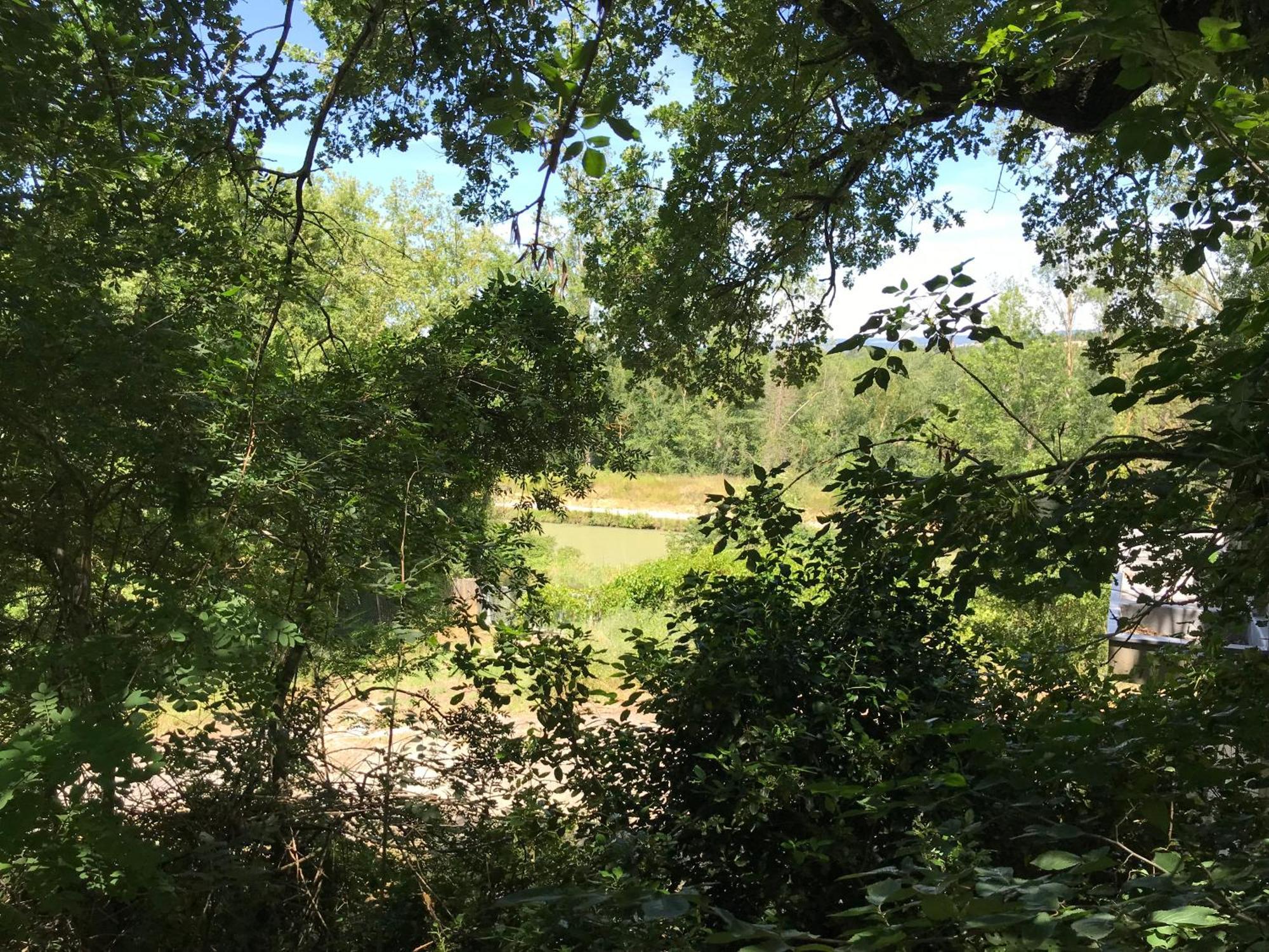 Bus Atypique Au Bord Du Canal Du Midi Et Au Coeur D'Une Foret 2 Chambres Villepinte  المظهر الخارجي الصورة